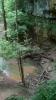 PICTURES/Cedar Sink Trail - Mammoth Cave NP/t_Sinkhole.JPG